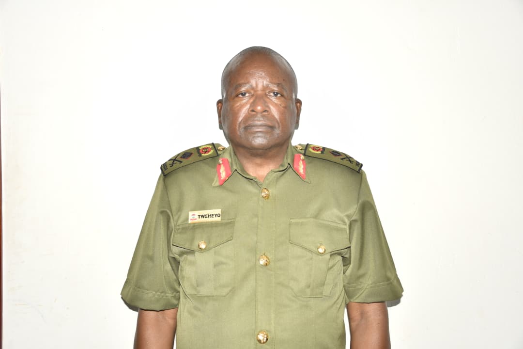 Academic Faculty Member 3