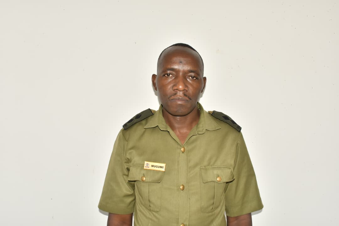 Administrative Staff 1