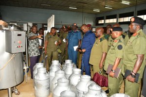 Students during the study tour